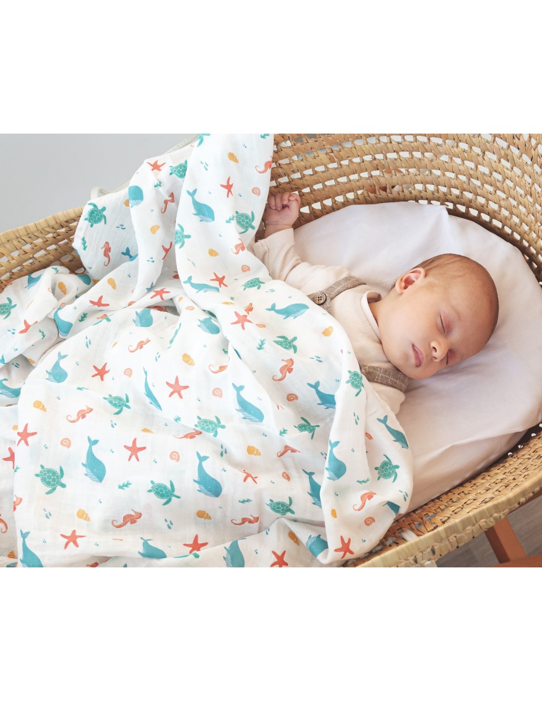 MUSELINA XL MAR - Image 3